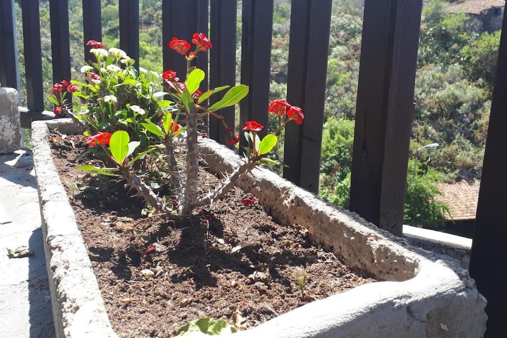 Casa Tia Rosa. Villa Costa Adeje  Ngoại thất bức ảnh
